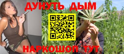 индика Краснознаменск