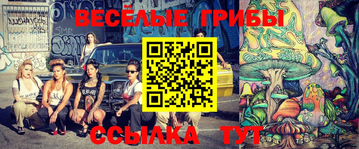 Красноперекопск  Псилоцибиновые грибы Psilocybine cubensis  Вход с VPN 